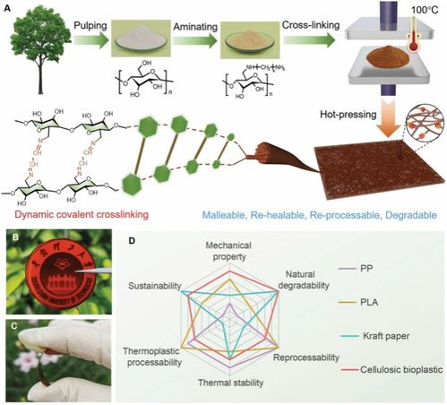 陳朝吉教授課題組在chemical reviews advanced materials等國際高水平期刊發(fā)表生物質(zhì)基低碳功能材料及綠色儲(chǔ)能材料系列研究成果