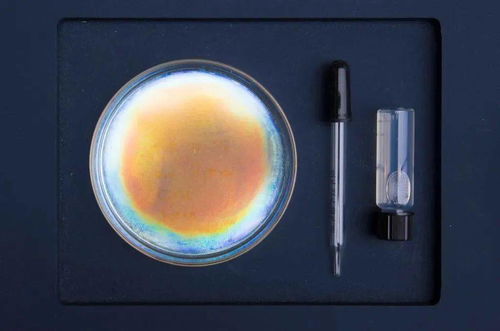 生物紡織研究 跨領域設計師們繼續(xù)給你帶來綠色靈感